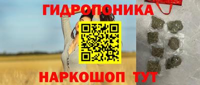 PSILOCYBIN Балахна