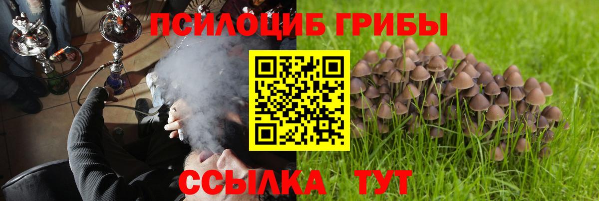Дзержинский  Галлюциногенные грибы Magic Shrooms  закладки  Вход с VPN 